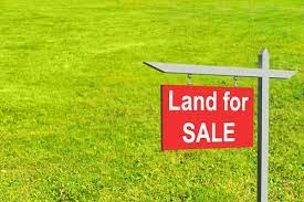 Land for Sale in Lekki Free Trade Zone Ibeju Lekki